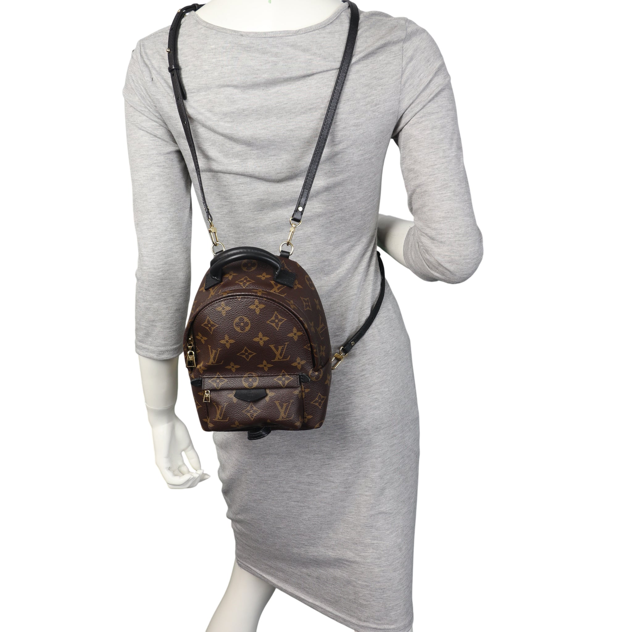 Louis Vuitton Palm Springs Mini Backpack Monogram