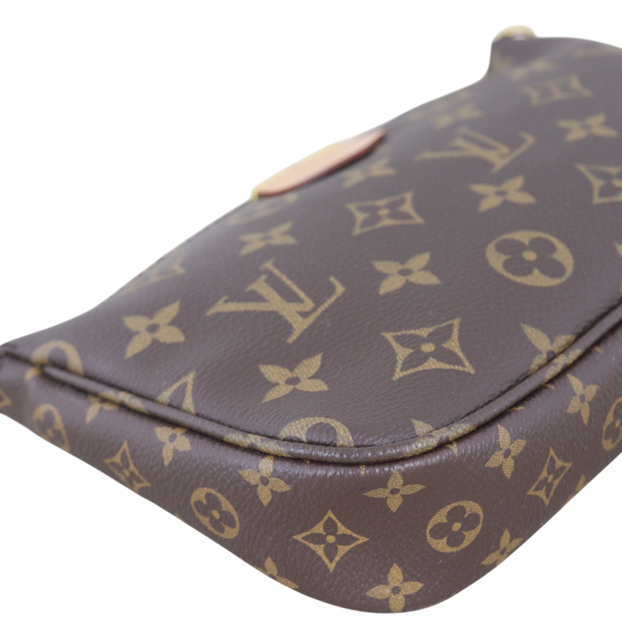 Louis Vuitton Multi Pochette Accessoires Monogram