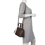 Louis Vuitton Alma BB Damier Ebene