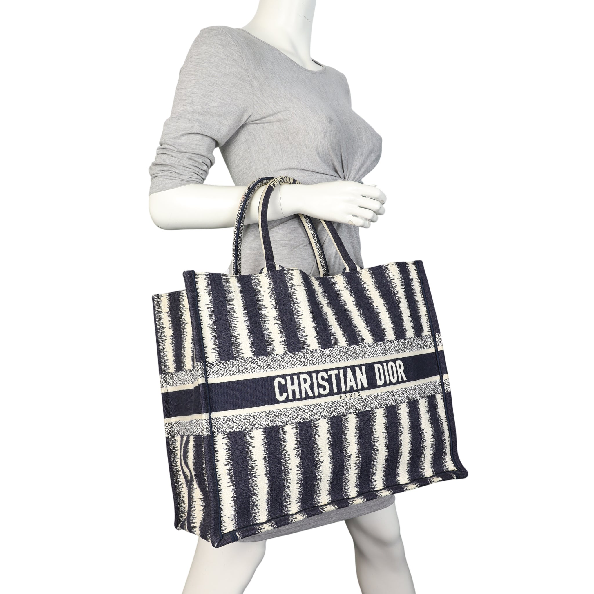 Dior Book Tote Large Striped