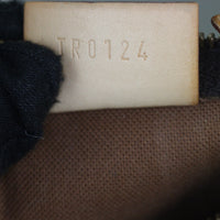 Louis Vuitton Nano Speedy Monogram