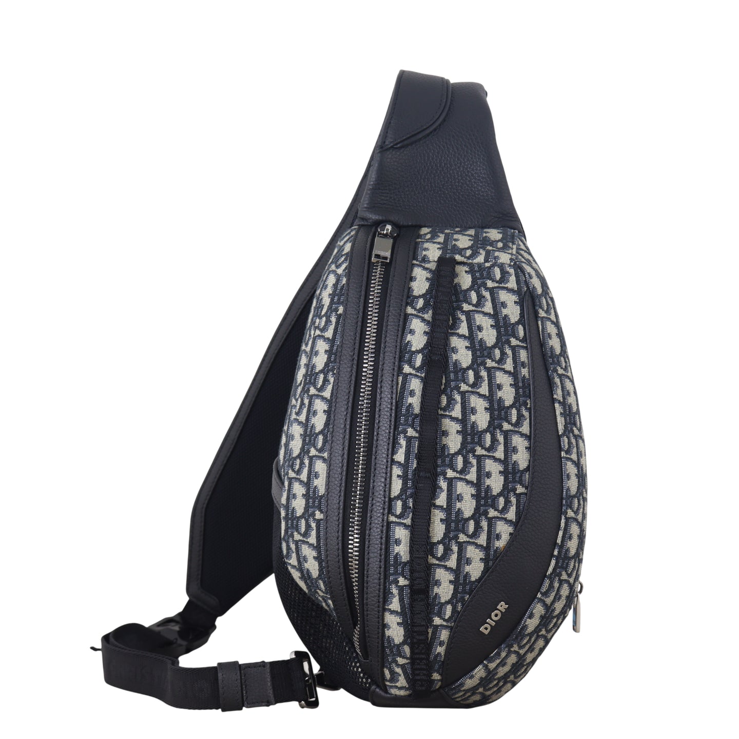 Dior Scarab Bag Oblique