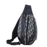 Dior Scarab Bag Oblique