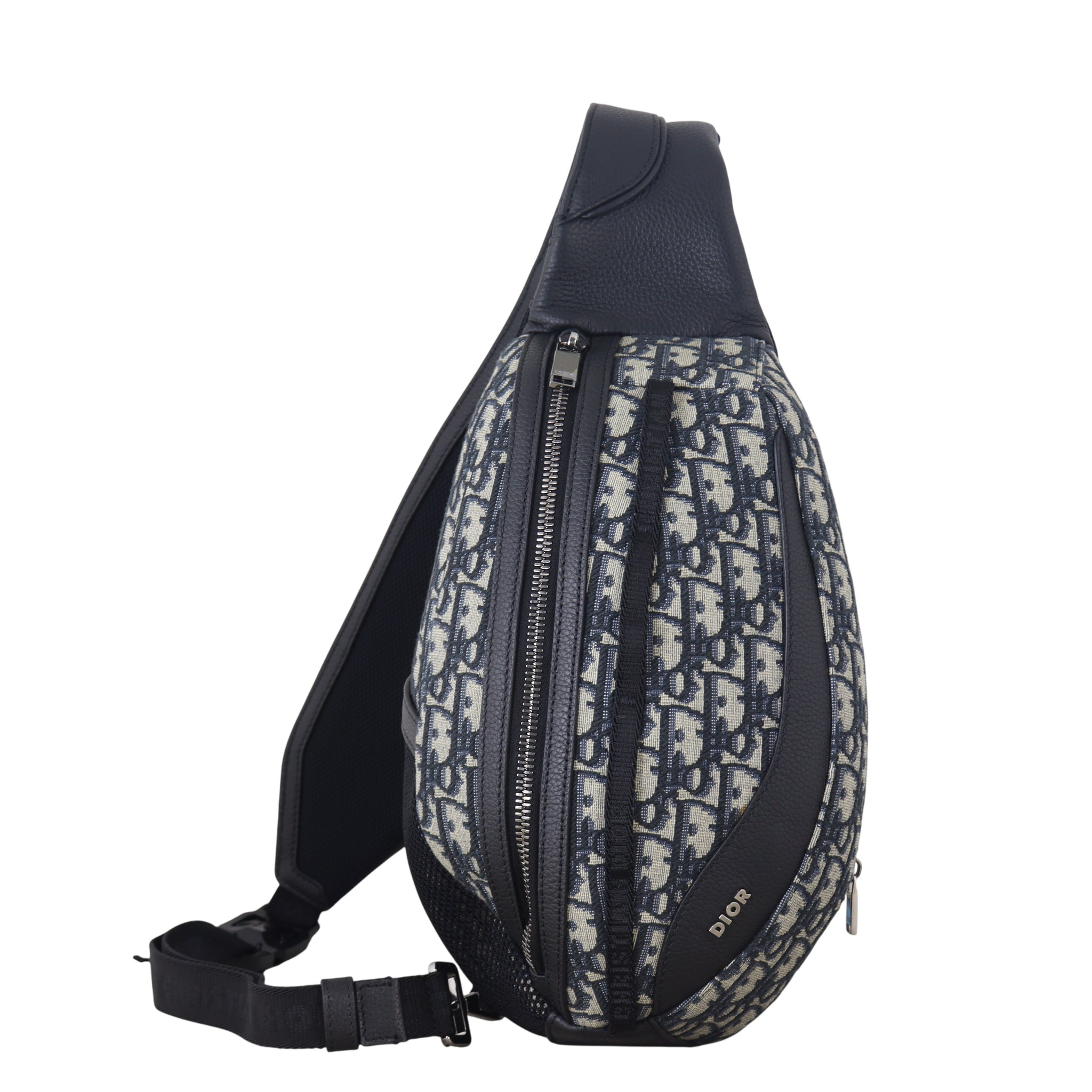 Dior Scarab Bag Oblique