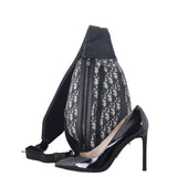Dior Scarab Bag Oblique