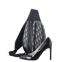 Dior Scarab Bag Oblique