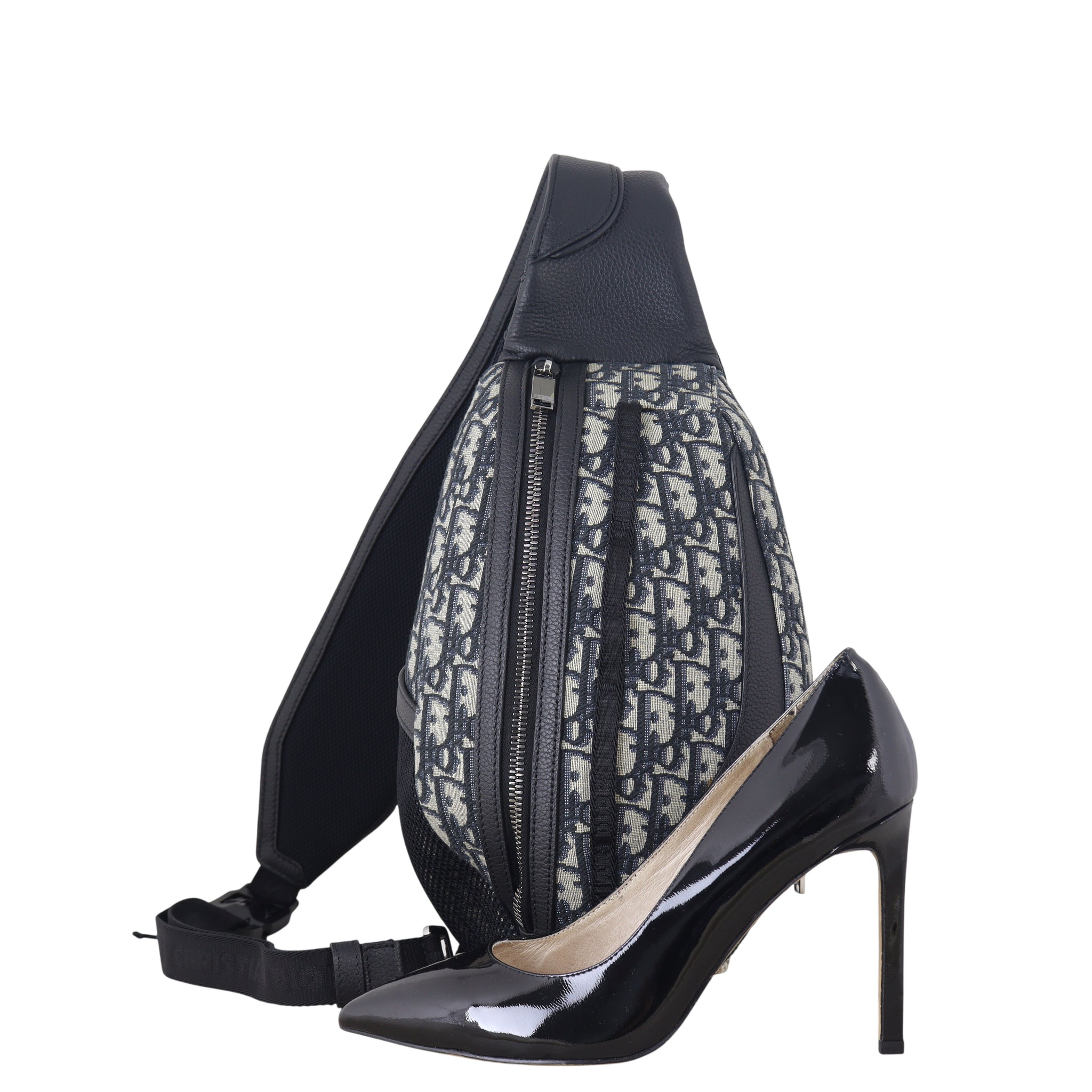 Dior Scarab Bag Oblique