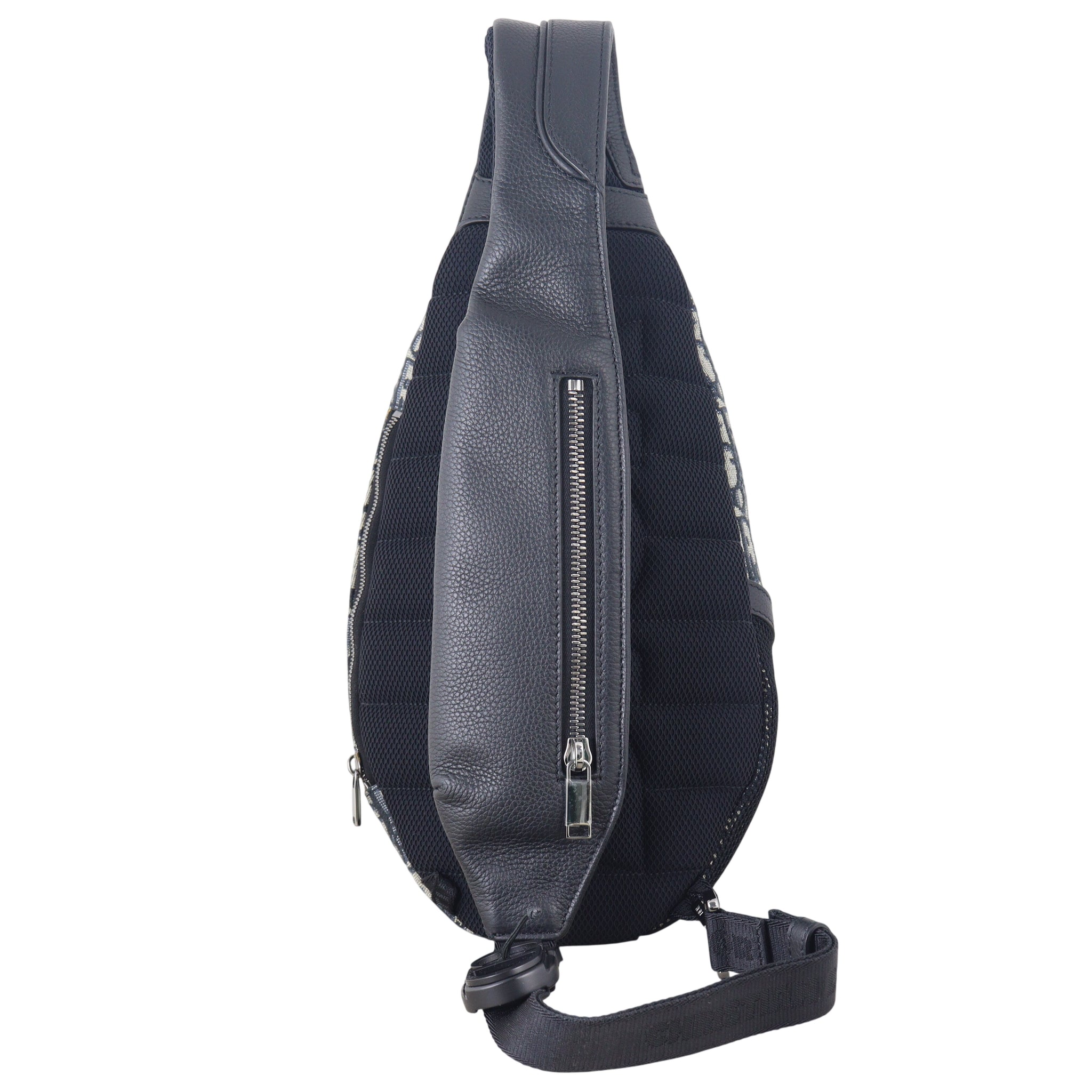 Dior Scarab Bag Oblique