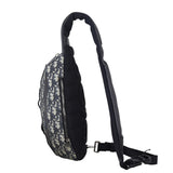 Dior Scarab Bag Oblique