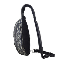 Dior Scarab Bag Oblique