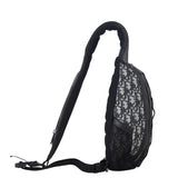 Dior Scarab Bag Oblique