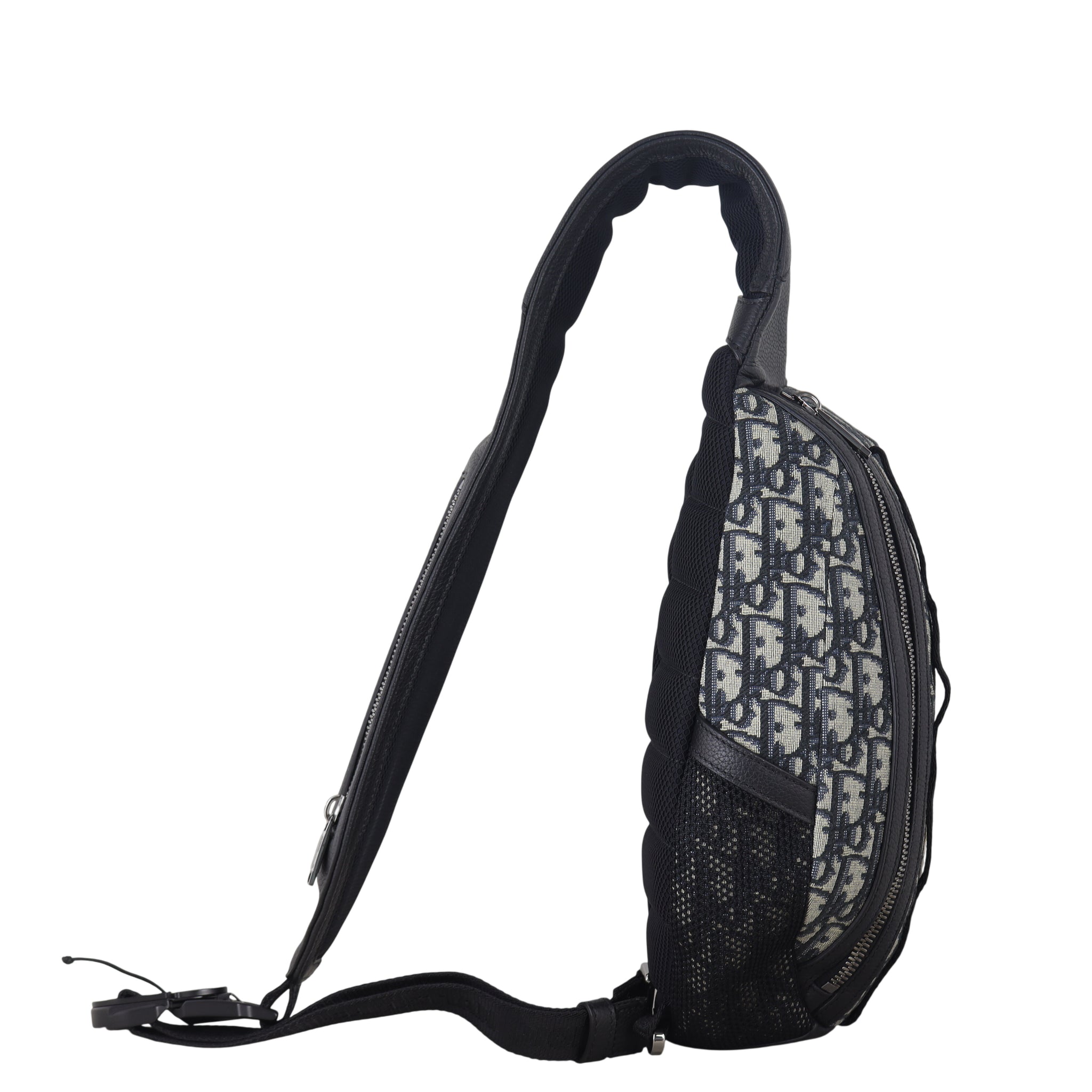 Dior Scarab Bag Oblique