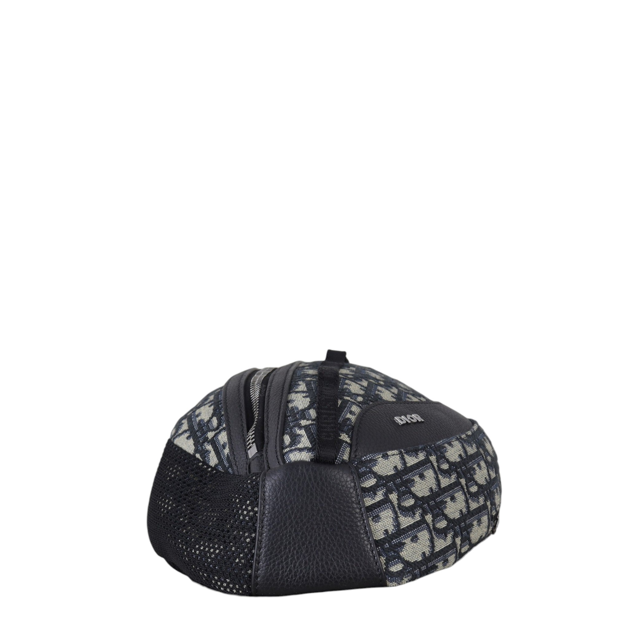 Dior Scarab Bag Oblique