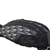 Dior Scarab Bag Oblique