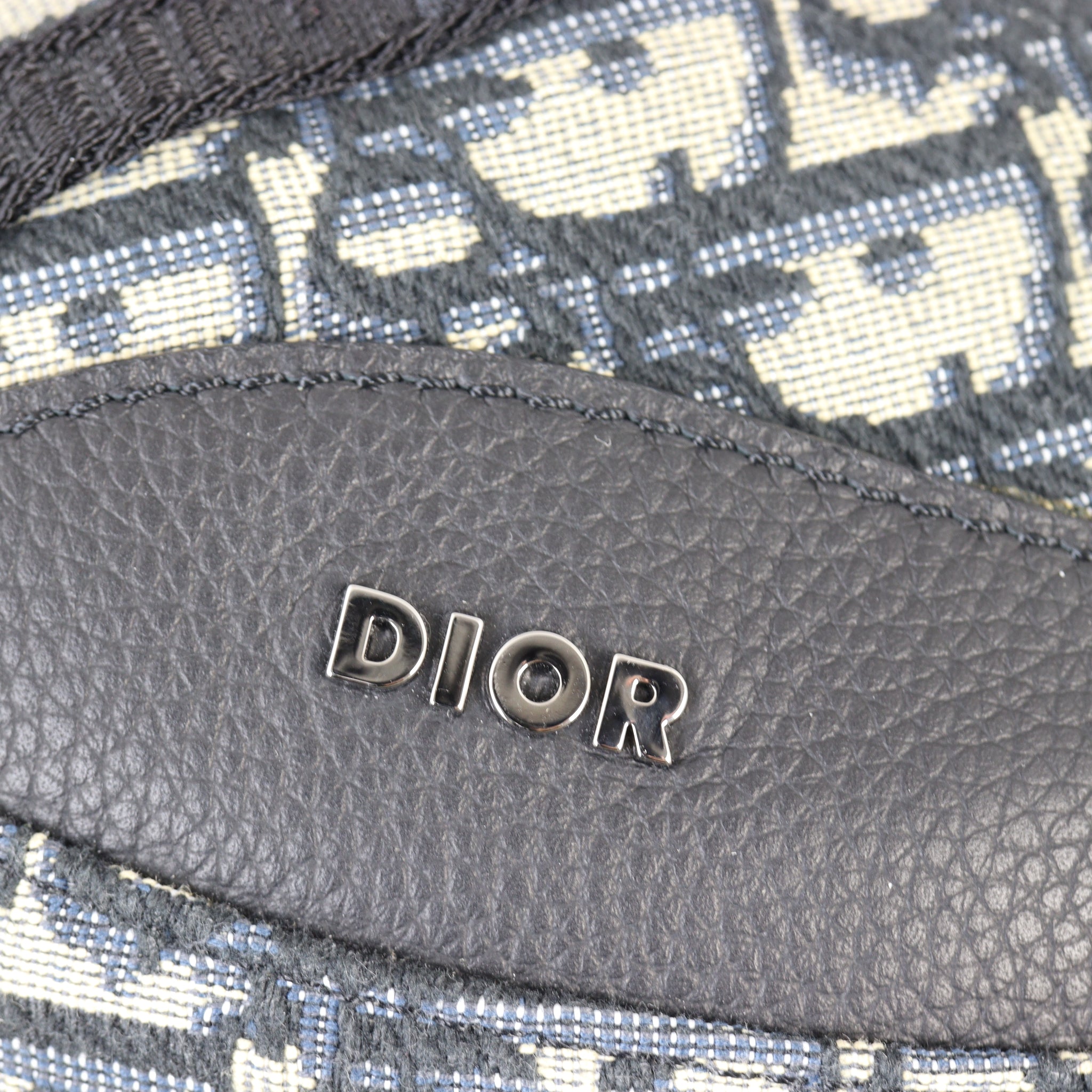 Dior Scarab Bag Oblique