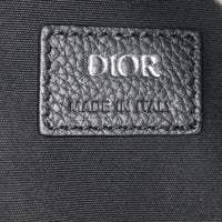 Dior Scarab Bag Oblique