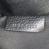 Dior Scarab Bag Oblique