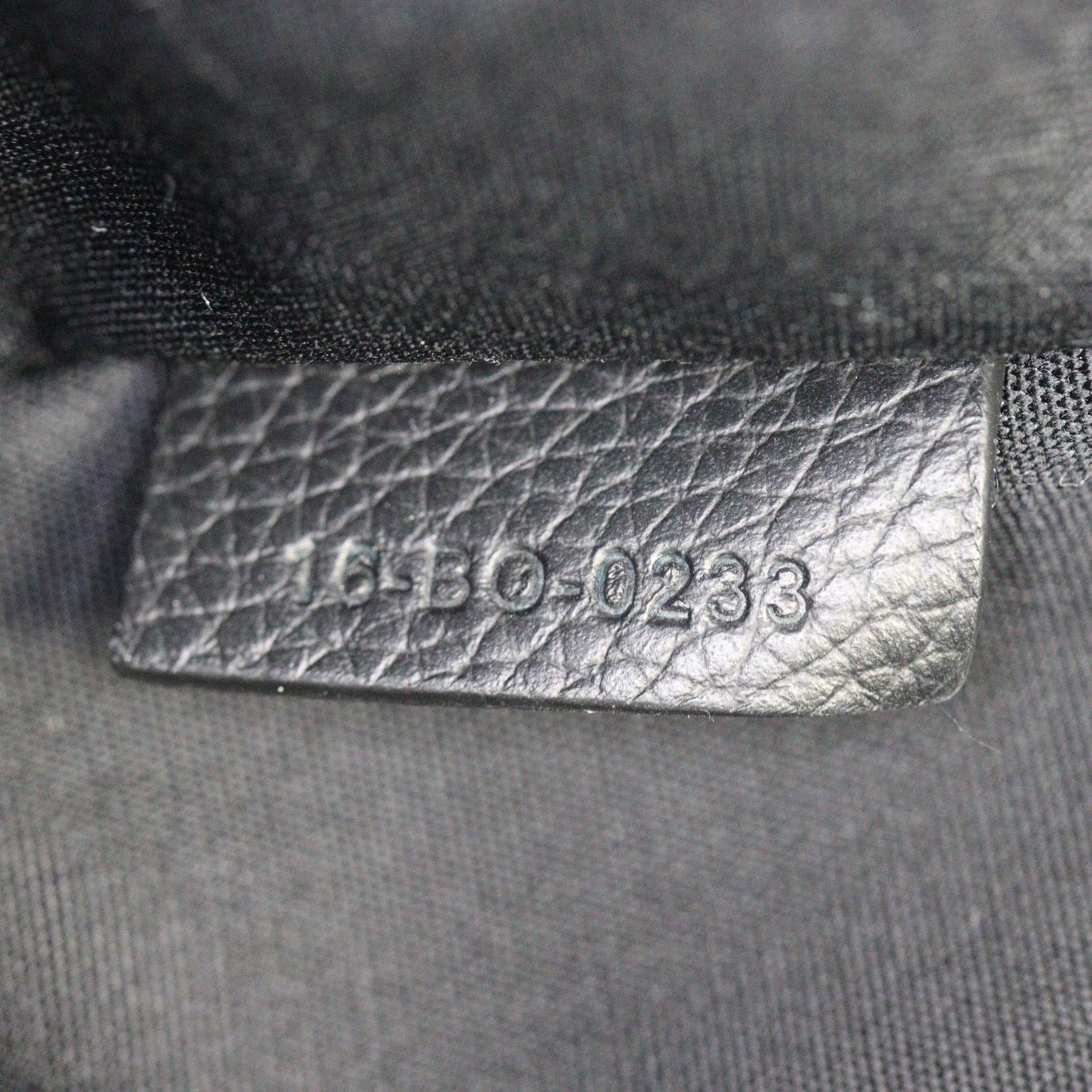 Dior Scarab Bag Oblique