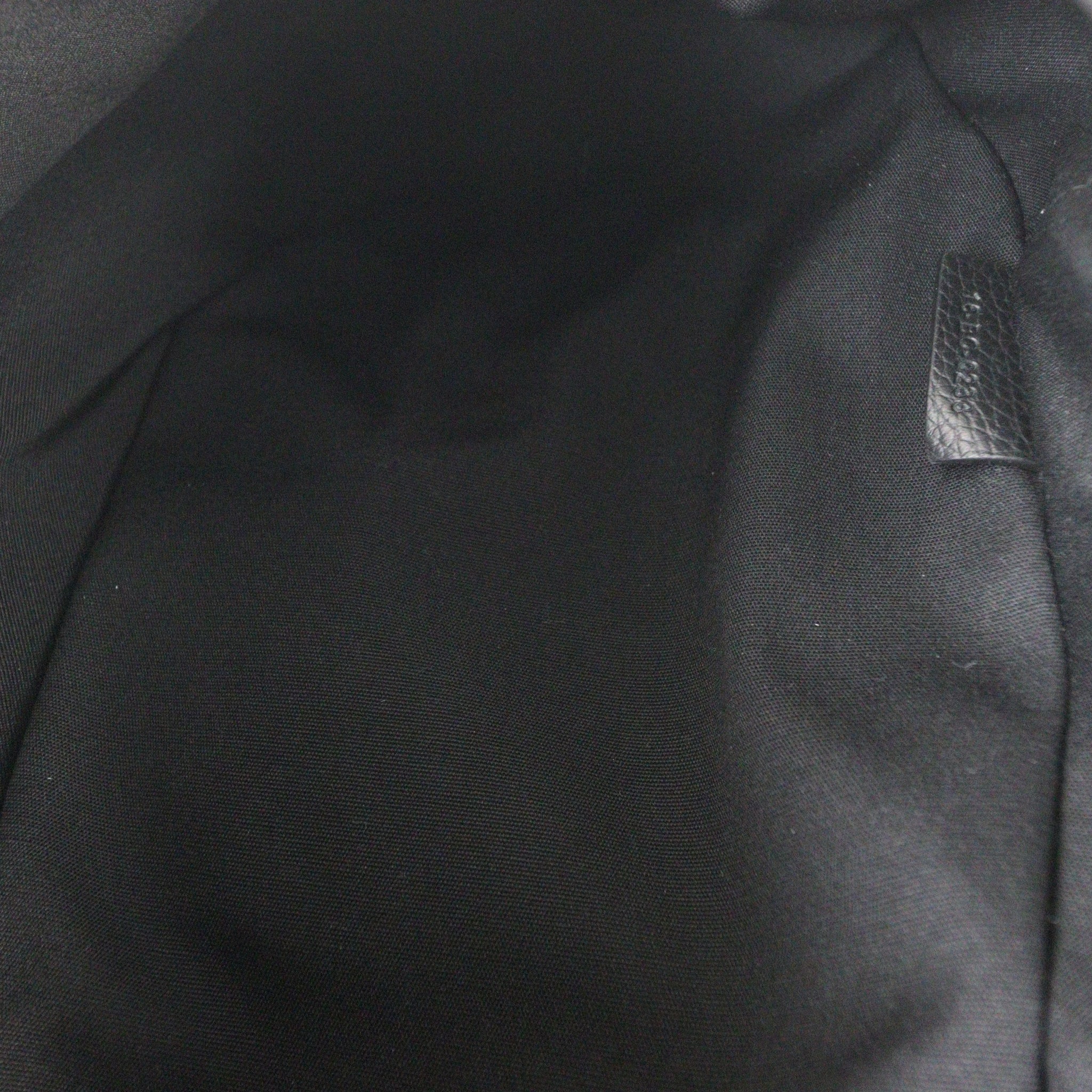 Dior Scarab Bag Oblique