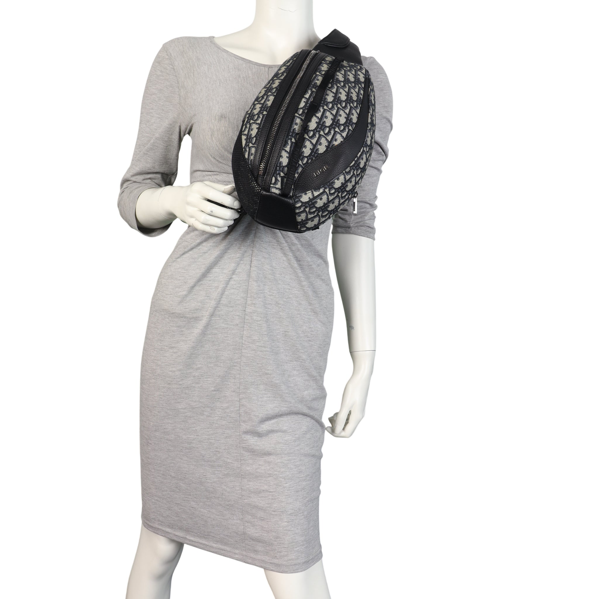 Dior Scarab Bag Oblique