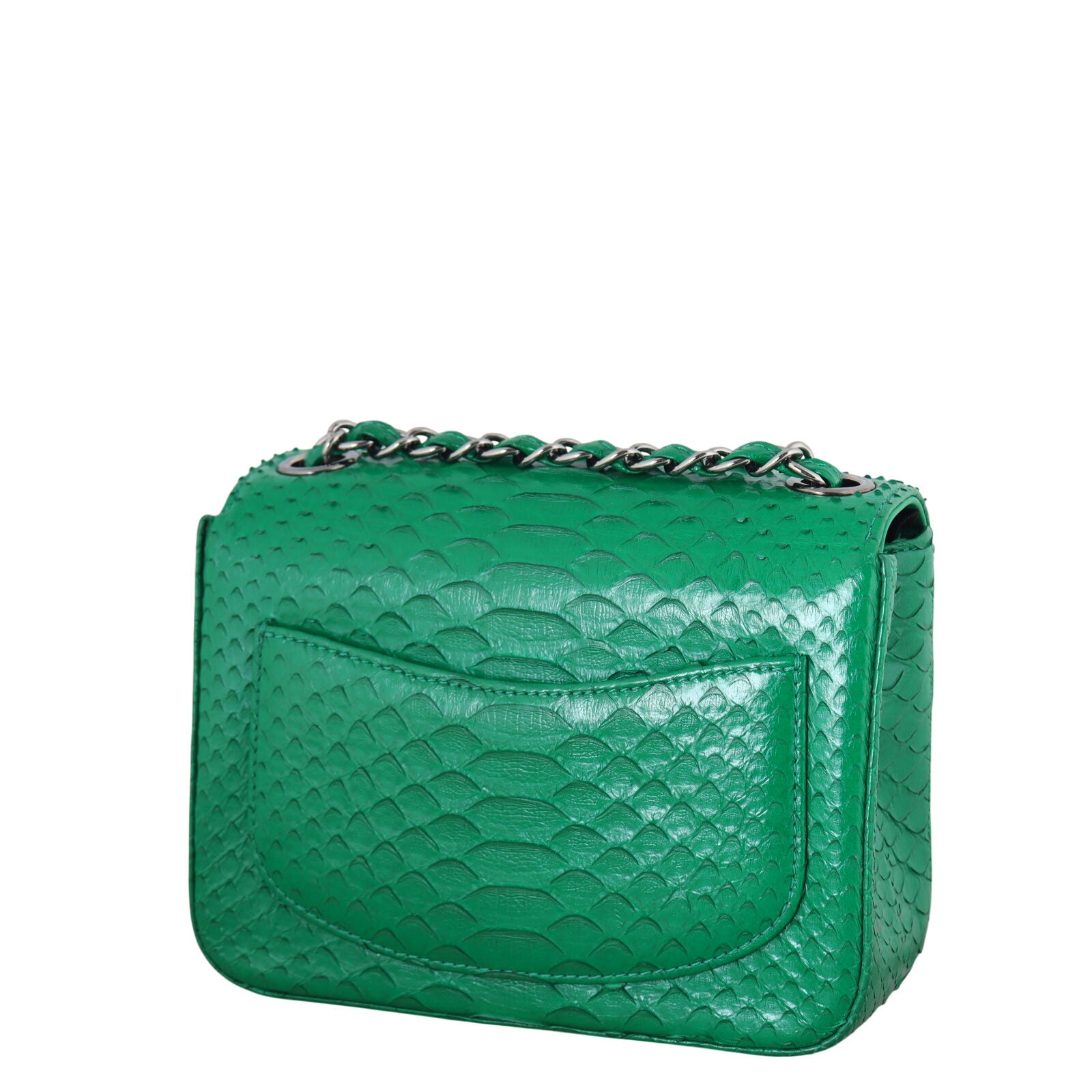 Chanel Classic Flap Mini Square Bag Python