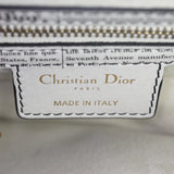 Dior Saddle Bag with Strap