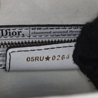 Dior Saddle Bag with Strap