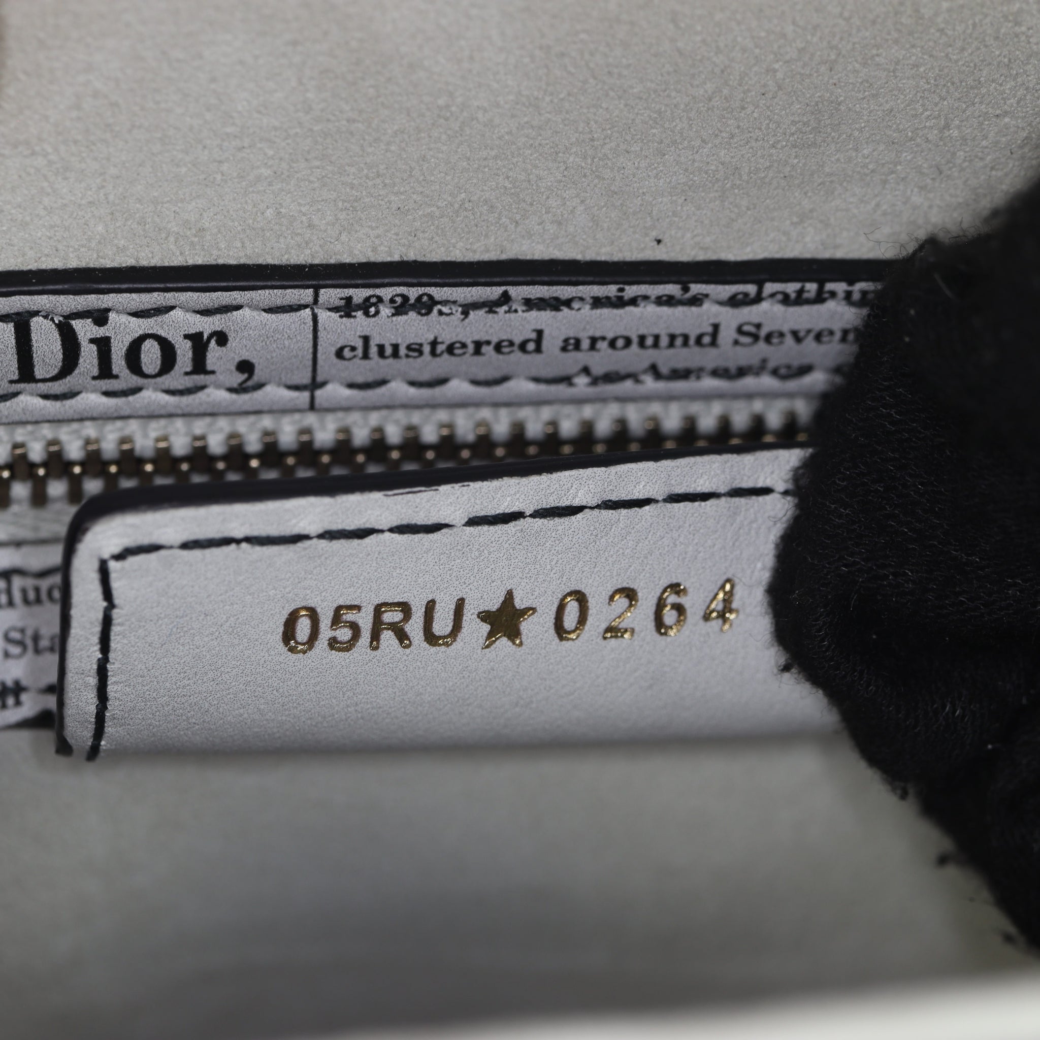 Dior Saddle Bag with Strap