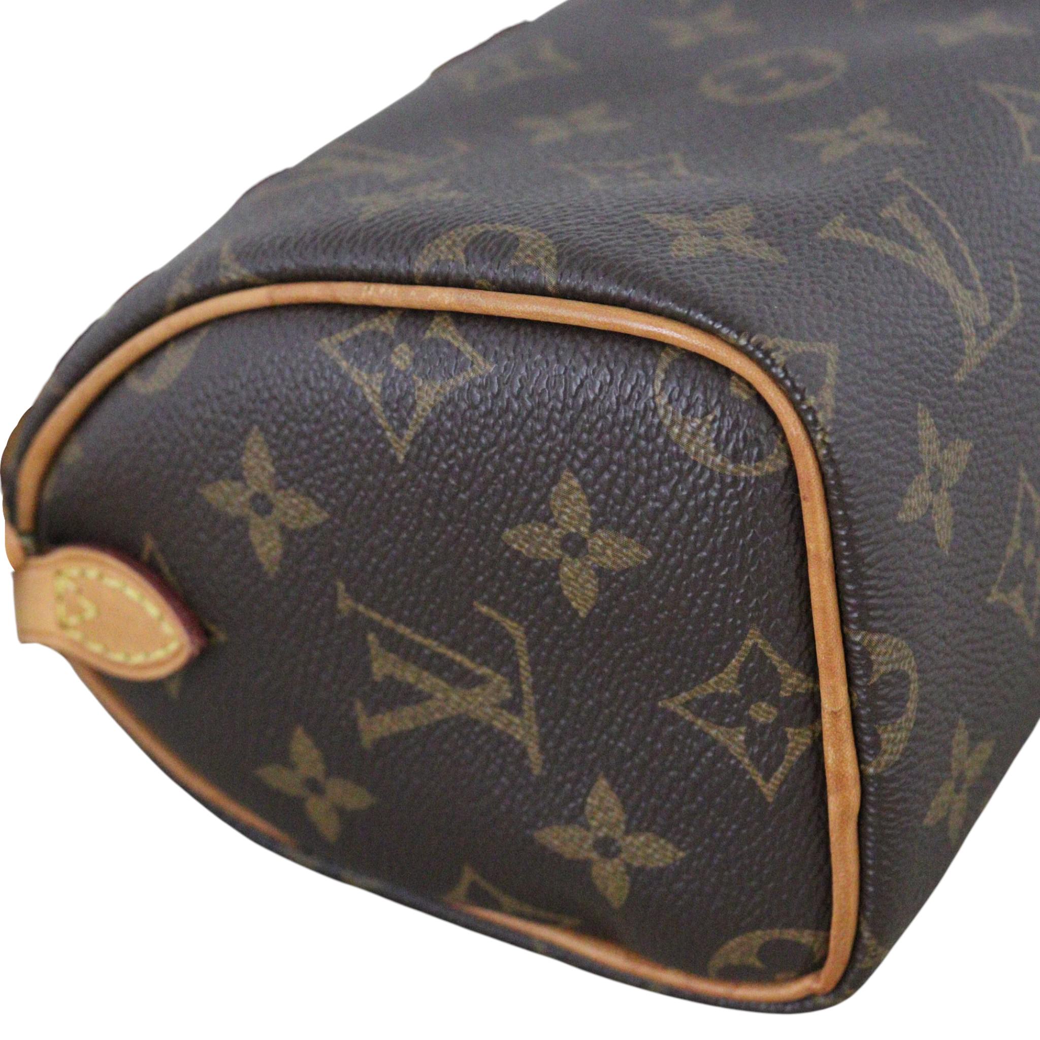 Louis Vuitton Nano Speedy Monogram