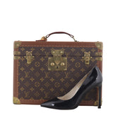 Louis Vuitton Boite Pharmacie Trunk Case Monogram