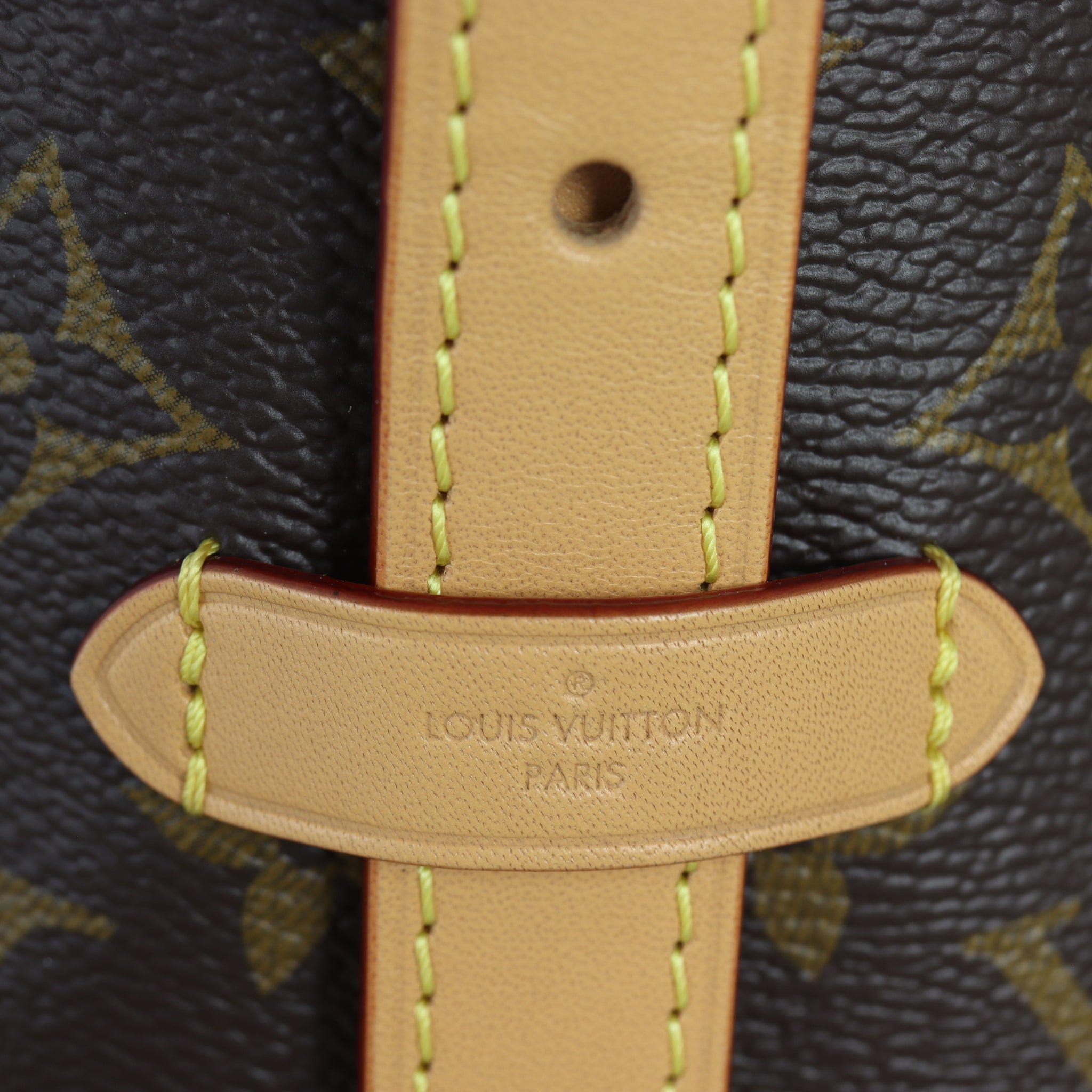 Louis Vuitton CarryAll PM Monogram