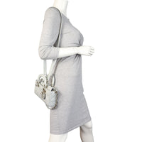 Dior Lady D-Joy Small