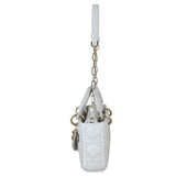 Dior Lady D-Joy Small