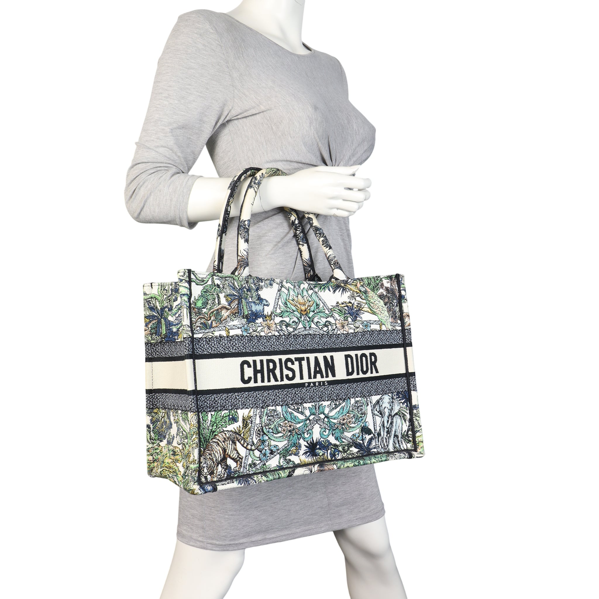 Dior Book Tote Medium Etoile de Voyage
