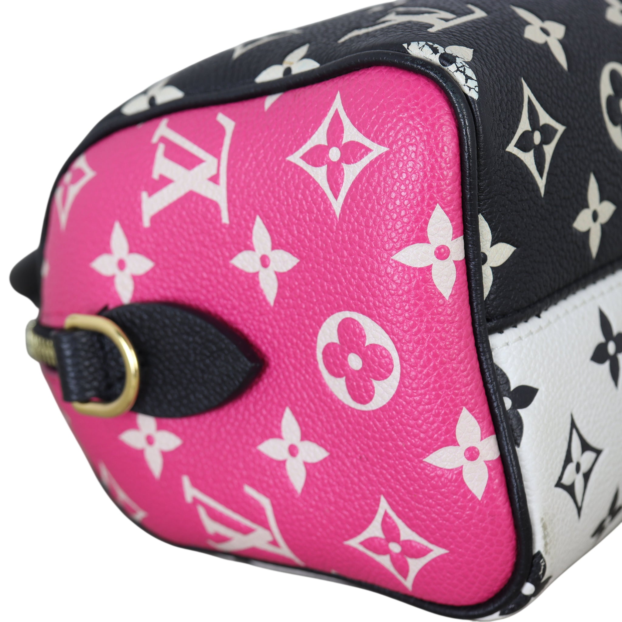 Louis Vuitton Speedy 20 Bandouliere Monogram Spring in the City