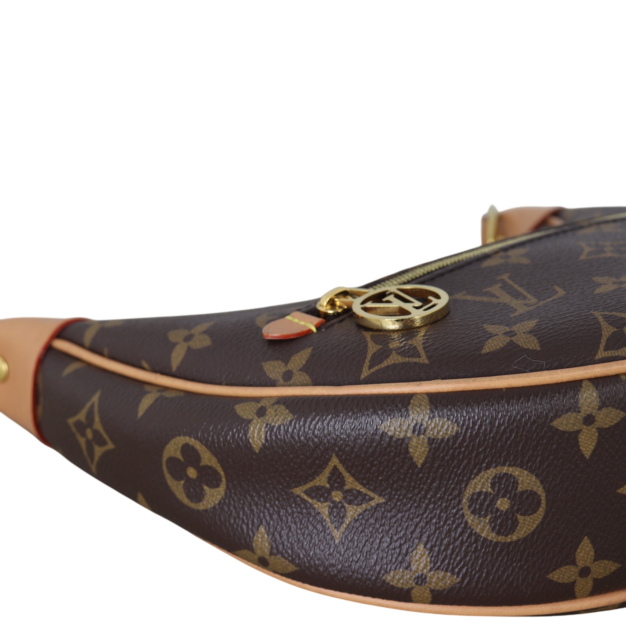 Louis Vuitton Loop PM Monogram