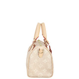 Louis Vuitton x Grace Coddington Speedy 20 Bandouliere Meowgram