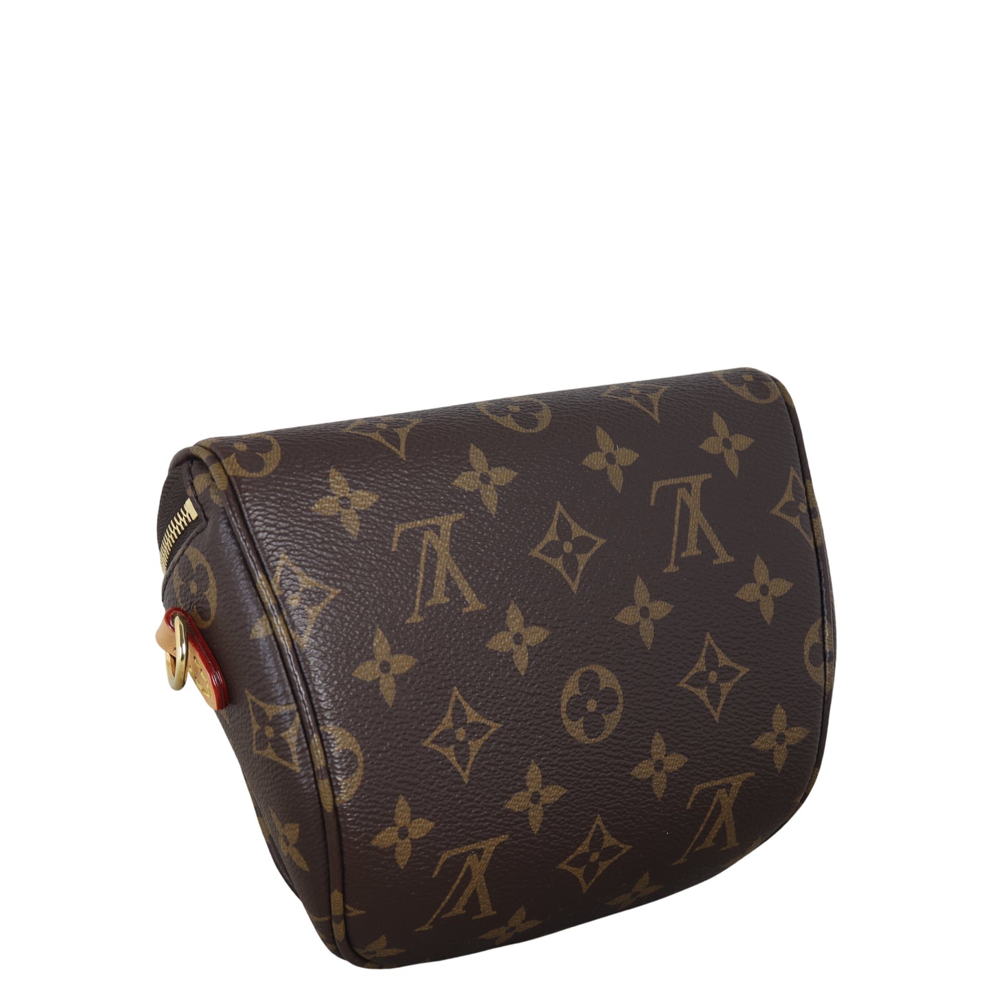 Louis Vuitton Mini Bumbag Monogram
