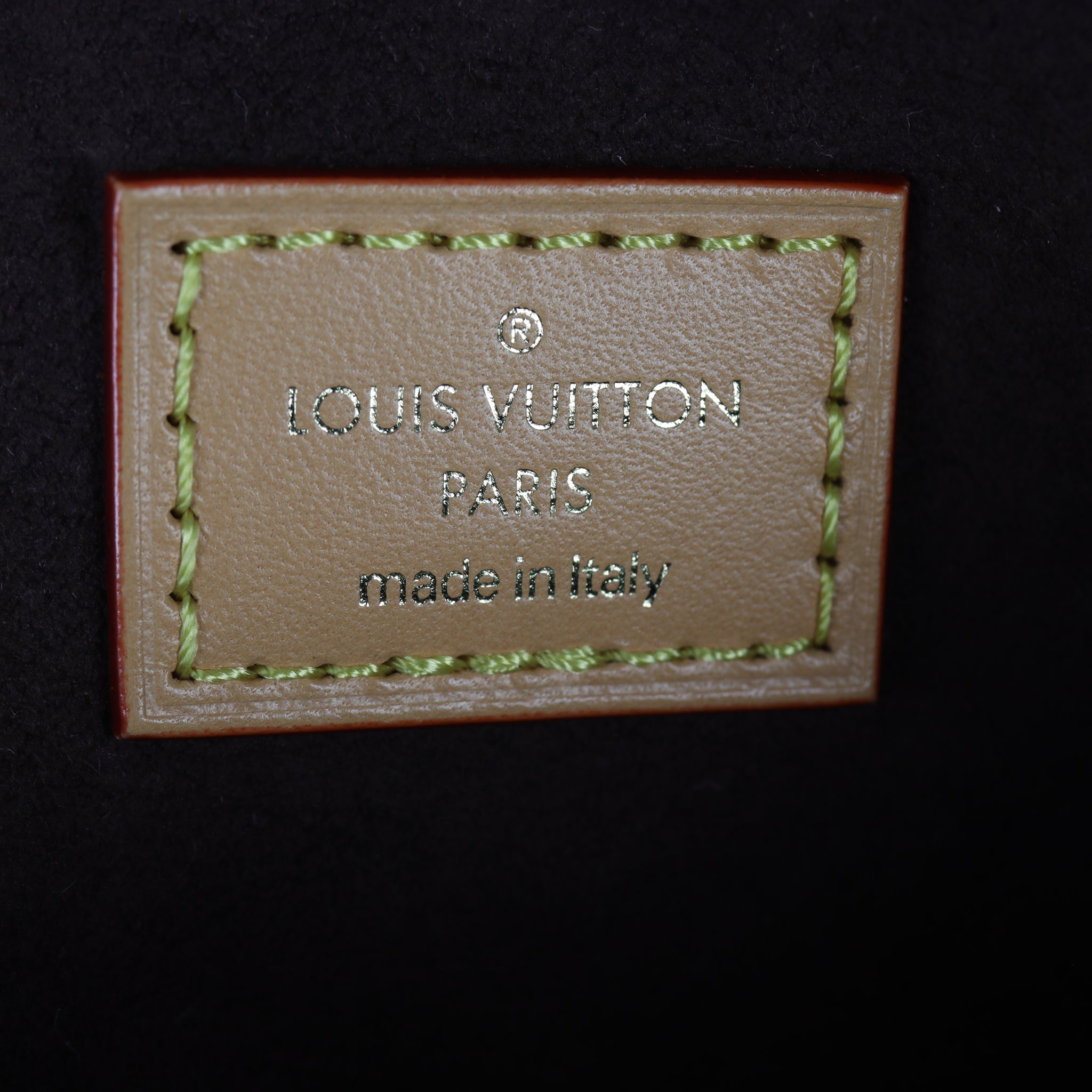 Louis Vuitton Mini Bumbag Monogram