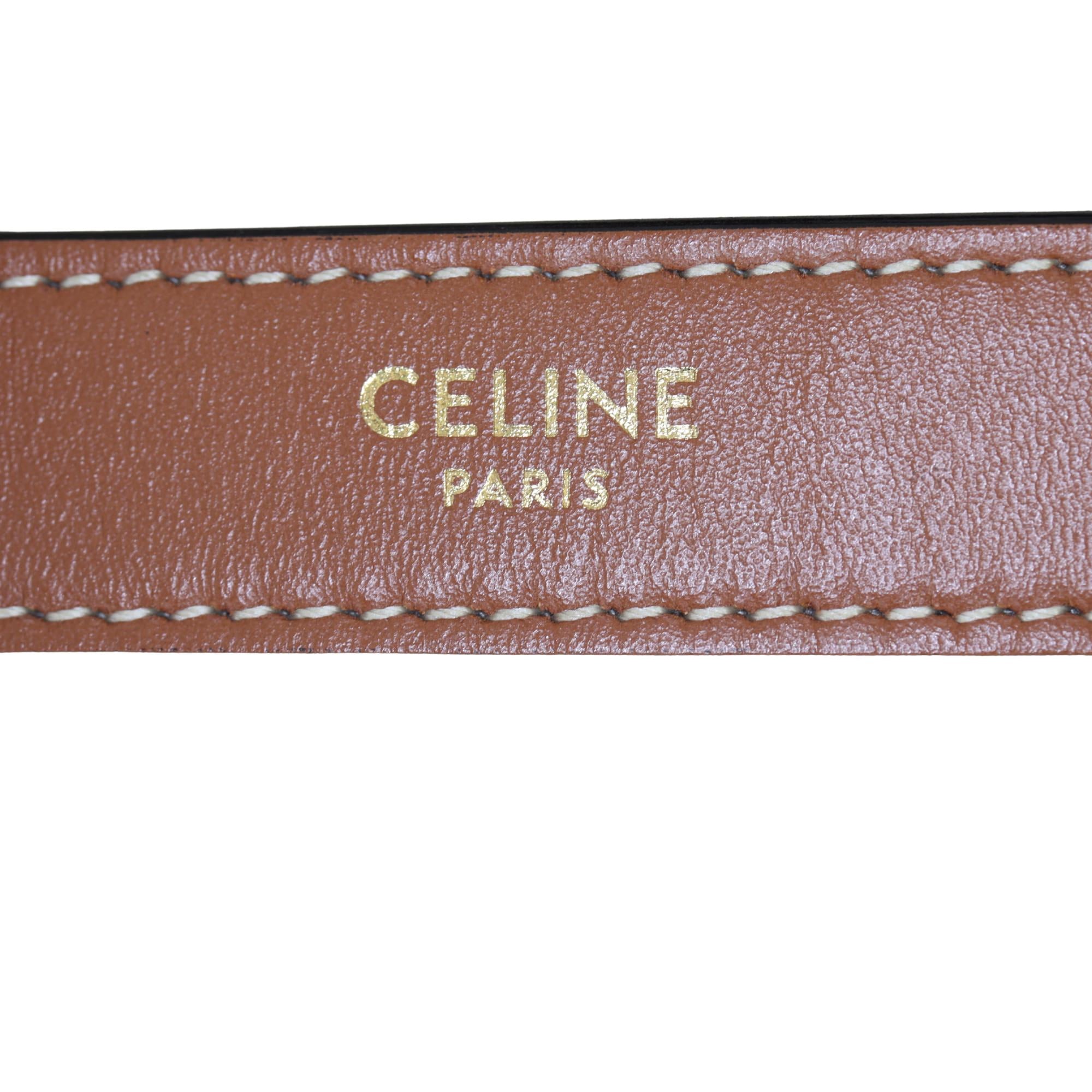 Celine Ava Triomphe Hobo