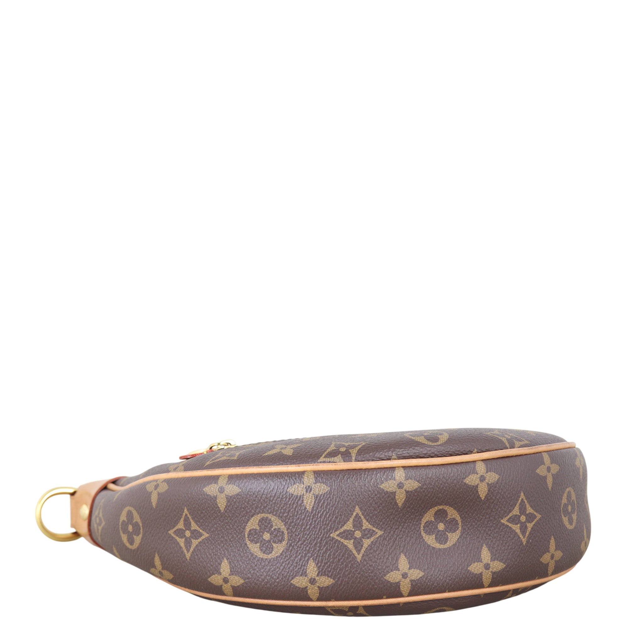 Louis Vuitton Loop PM Monogram