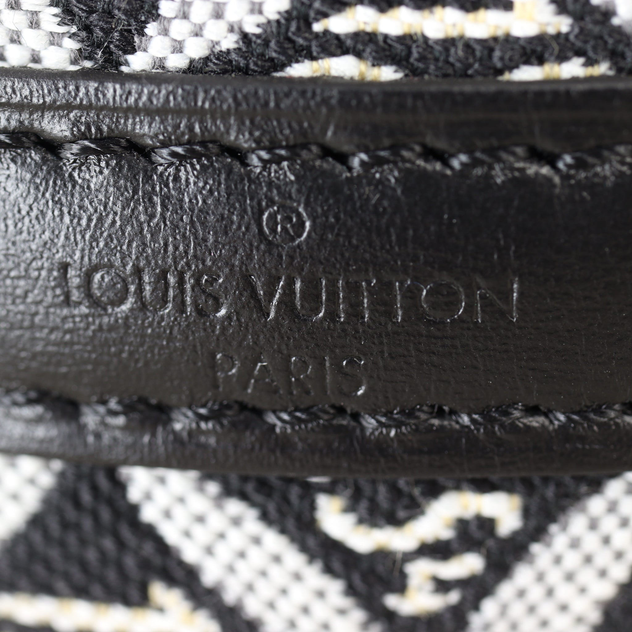 Louis Vuitton Since 1854 Nano Noe Monogram Jacquard