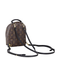 Louis Vuitton Palm Springs Mini Backpack Monogram