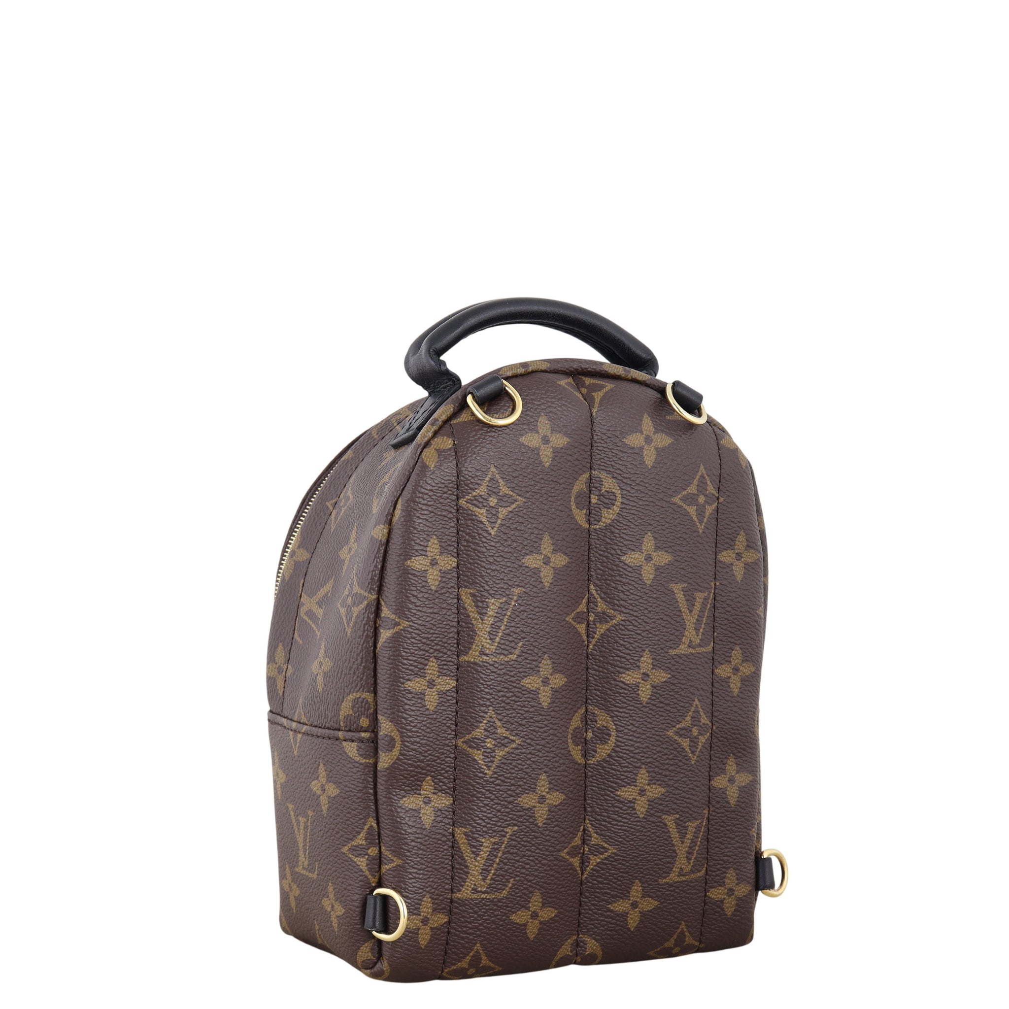 Louis Vuitton Palm Springs Mini Backpack Monogram