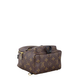 Louis Vuitton Palm Springs Mini Backpack Monogram