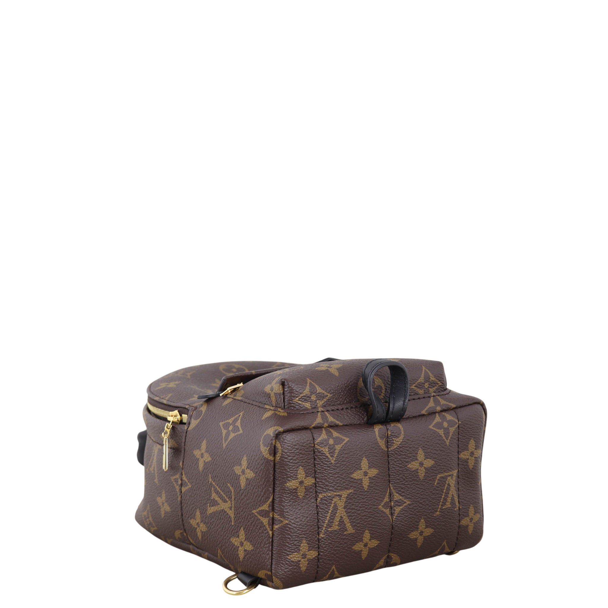 Louis Vuitton Palm Springs Mini Backpack Monogram