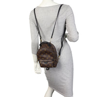 Louis Vuitton Palm Springs Mini Backpack Monogram