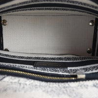 Dior Lady D-Lite Medium Toile de Jouy Zodiac