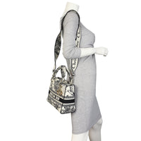 Dior Lady D-Lite Medium Toile de Jouy Zodiac