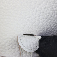 Hermes Evelyne 16 Amazone Clemence